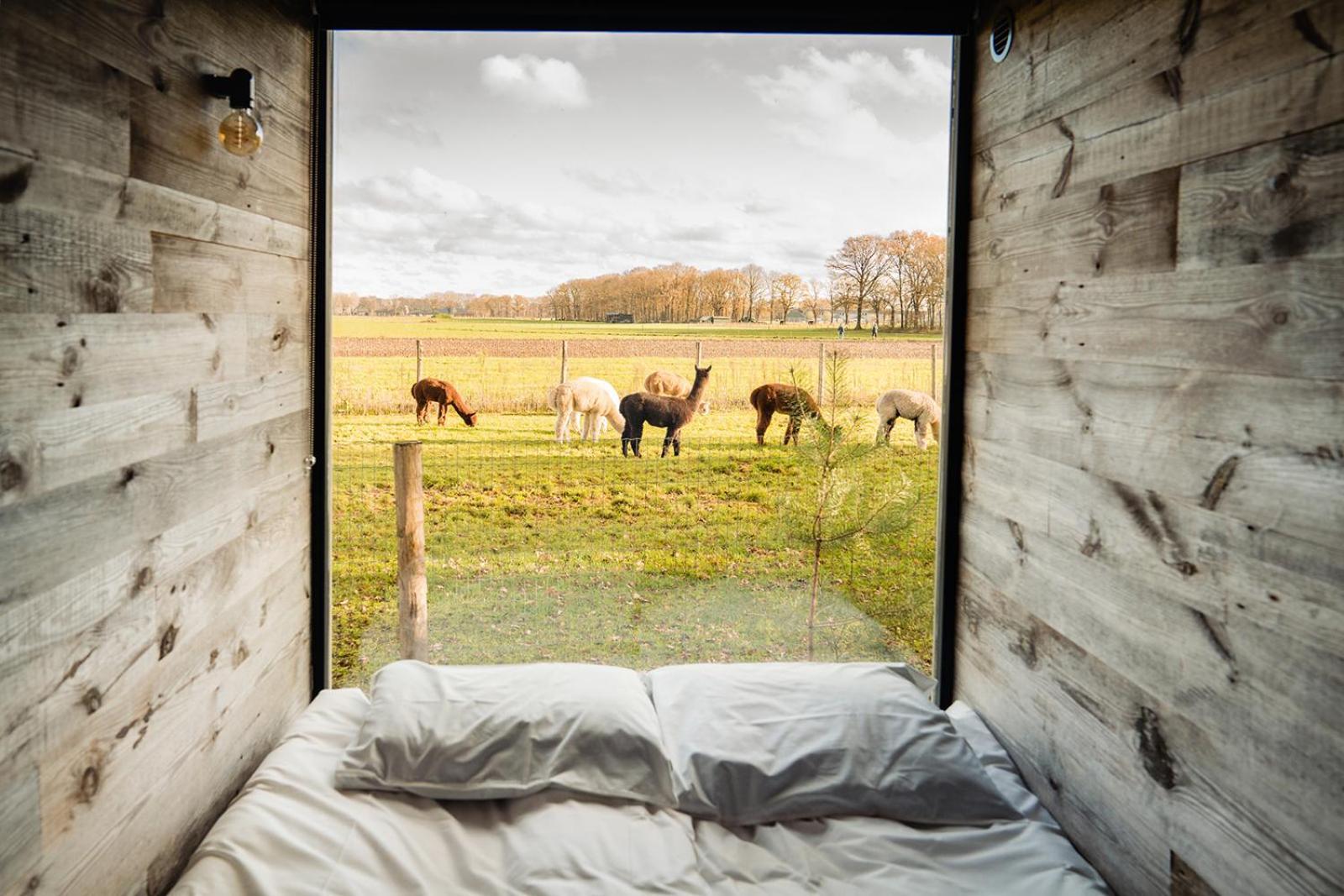 In De Hei Bed & Breakfast Mariahout ภายนอก รูปภาพ